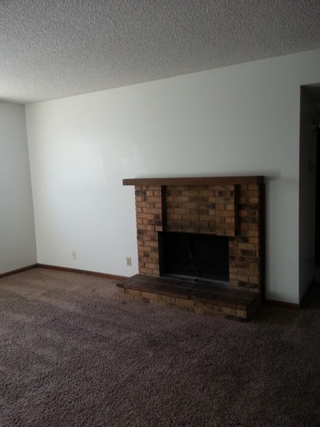 living room fire place - 412 S 24th St