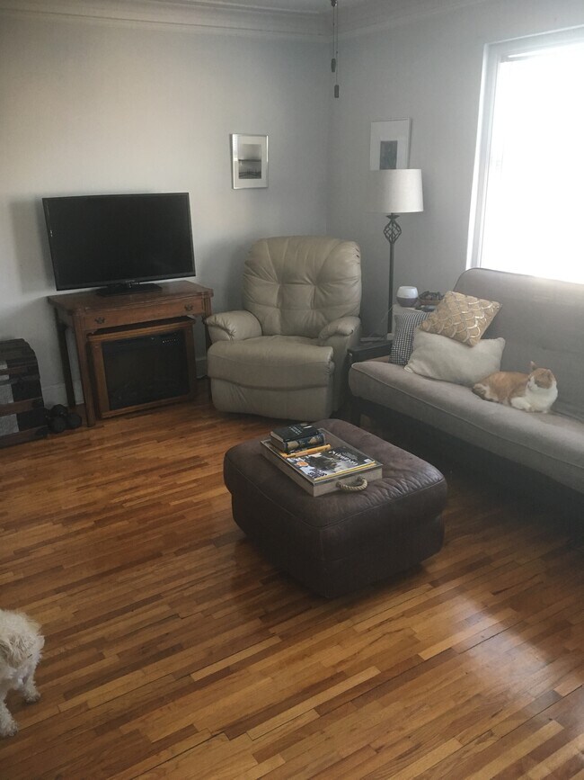 Living room - 569 Portland Ave