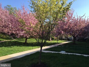 Building Photo - 4920 Bradley Blvd