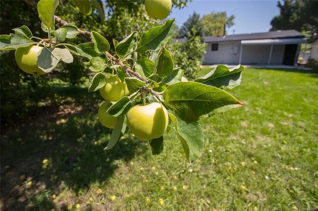 Building Photo - 7351 Decatur St