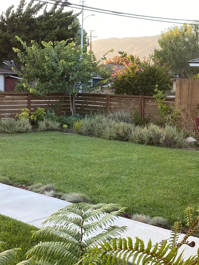 Lush front yard, gated - 286 N Kellogg Ave