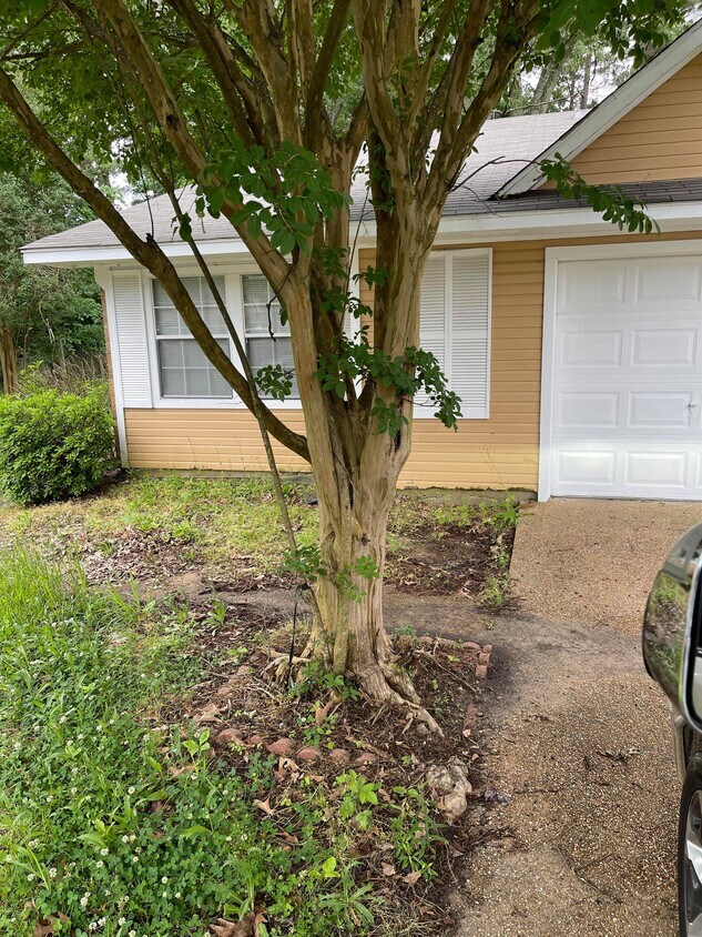 Foto principal - 220 Brendalwood Blvd