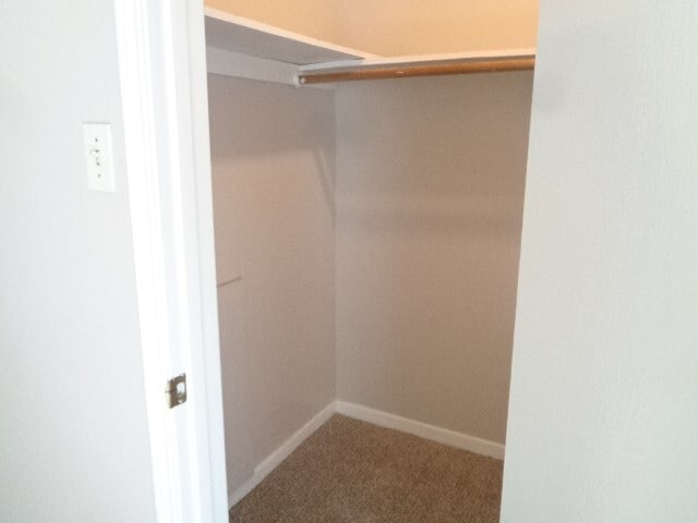 Building Photo - 5502 Deep Forest Dr