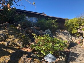 Building Photo - 1409 Brewster Dr