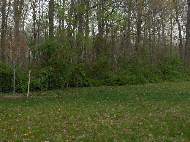 Building Photo - 254 Camerton Ln