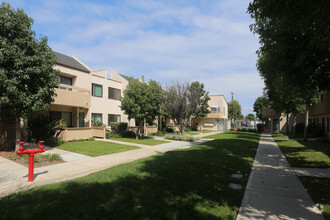 Wallace Court Apartments photo'