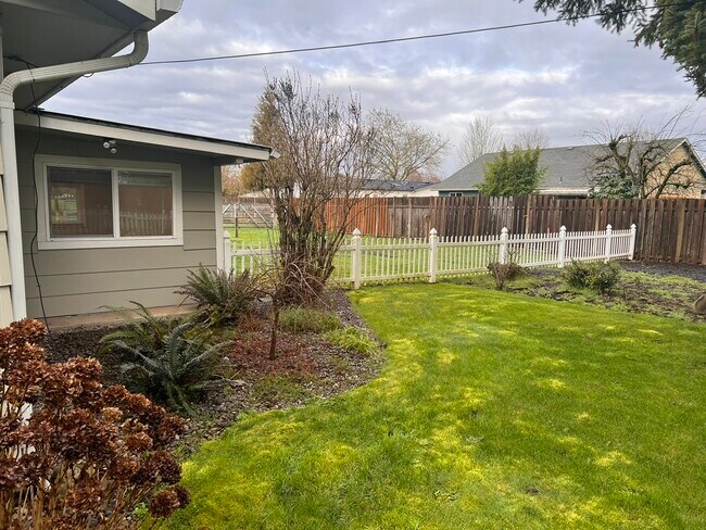 Jardín delantero - 430 Douglas St SE