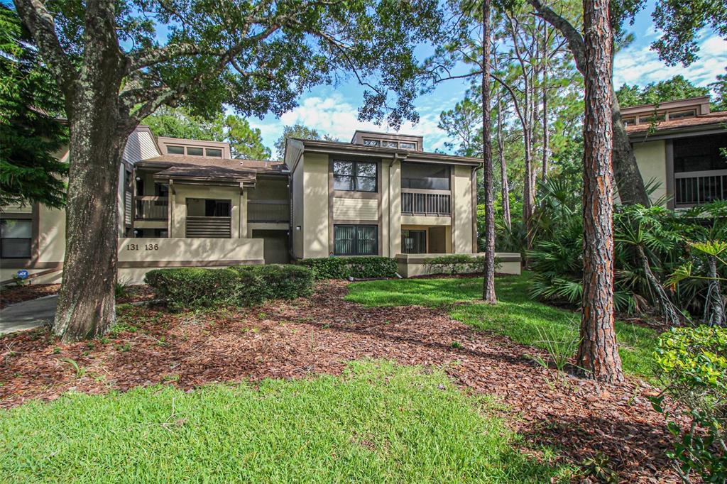 135 Woodlake Wynde Unit 135, Oldsmar, FL 34677 Condo for Rent in