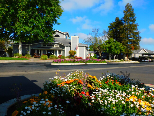 Sala de recreo - Creek Park Village 55+ Senior Community