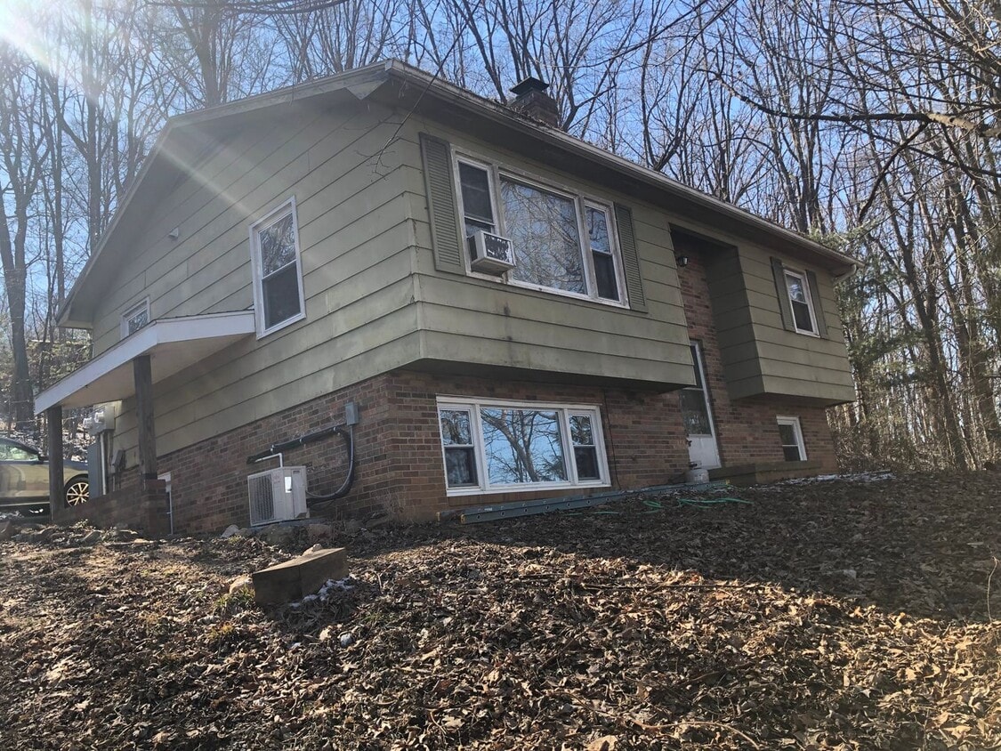 Newly Renovated Apartment for Rent - Newly Renovated Apartment for Rent