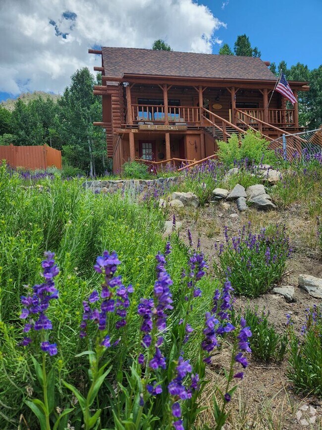 Apartments For Rent in CA 4 Rentals