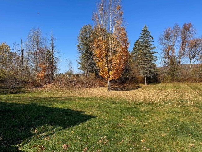 Building Photo - 41 Couture St