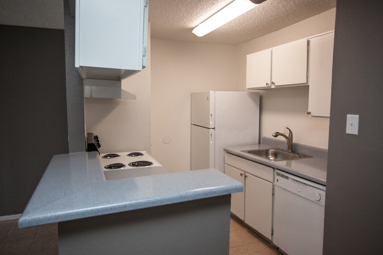 Albion Apartments in Angleton, TX