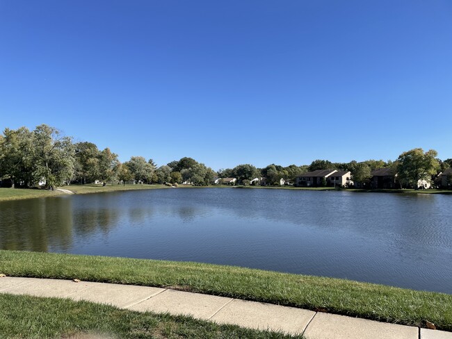 Building Photo - 149 Birchfield Ct