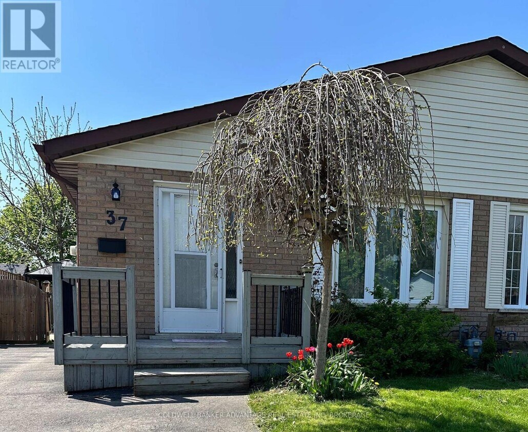 Primary Photo - 37 Mayfair Dr