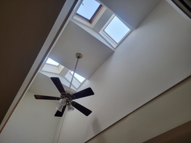 Eight total Skylights (Living/kitchen/dining) - 519 W College Ave