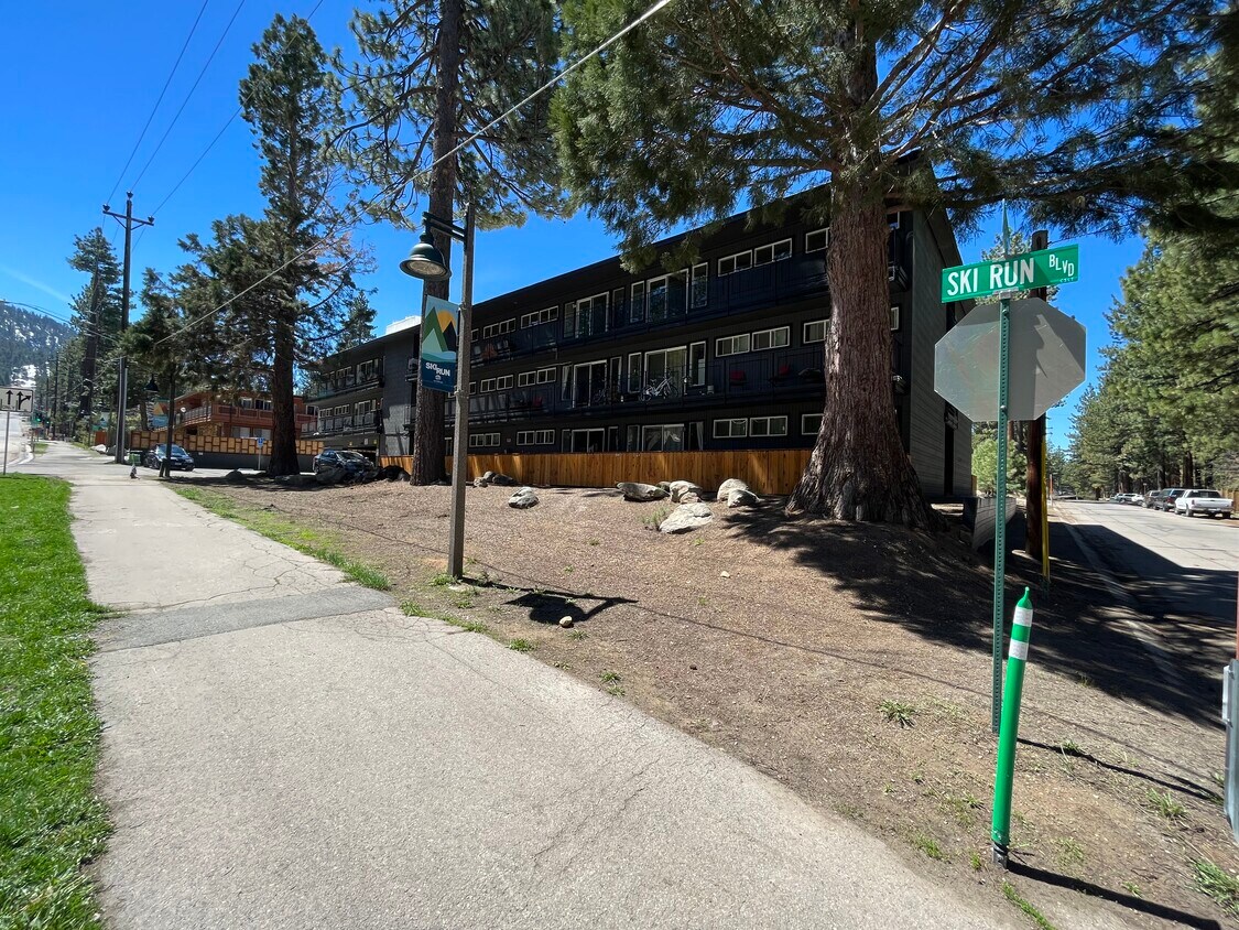 Primary Photo - Ski Run & Spruce