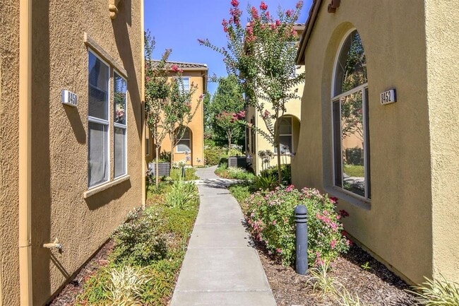 Building Photo - Beautiful 4 Bedroom, 2.5 Bath Condo for Rent in Elk Grove