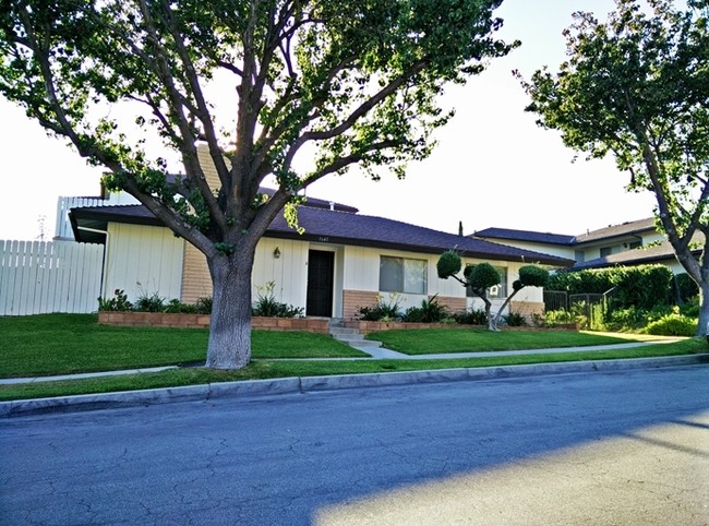 Building Photo - 1641 Via Mirada