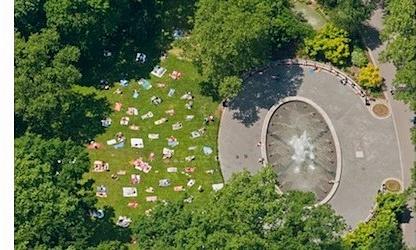 Foto del edificio - 12 Stuyvesant Oval
