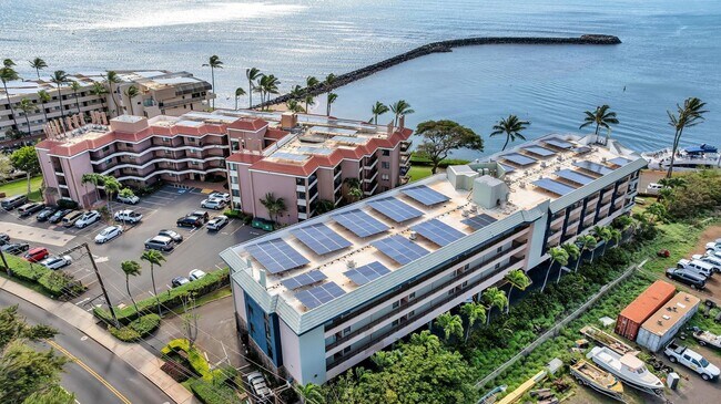 Foto del edificio - 20 Hauoli St