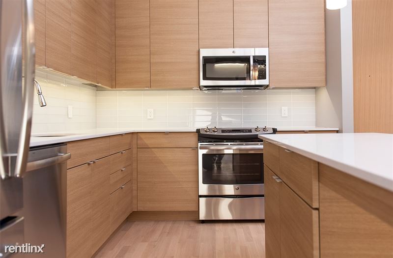 50 Malden St, Boston, MA 02118 Condo for Rent in Boston, MA