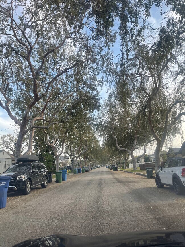 Quiet tree lined Street - 4071 Albright Ave