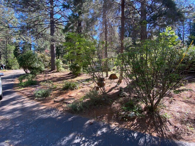 Building Photo - 10959 Alta Sierra Dr