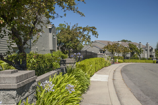 Building Photo - Rocklin Gold