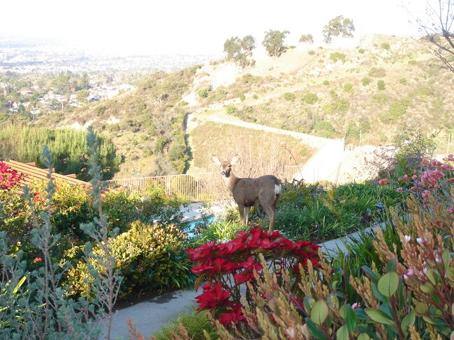 Vista - 1705 Cam De Villas