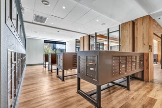 Interior Photo - Olive & Wooster