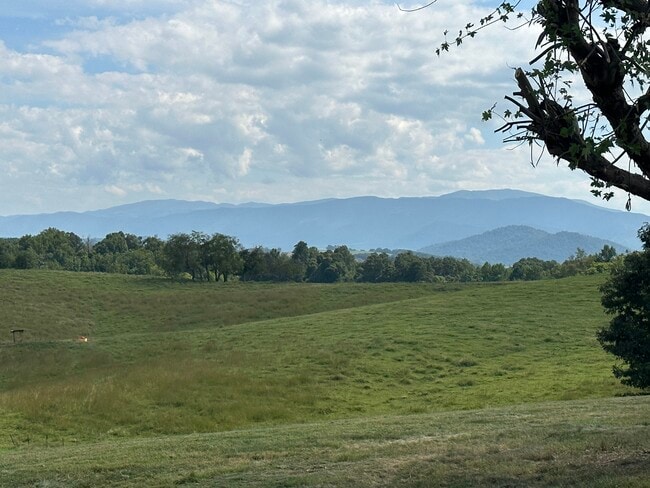 Vista desde el porche delantero - 3655 W Allens Bridge Rd