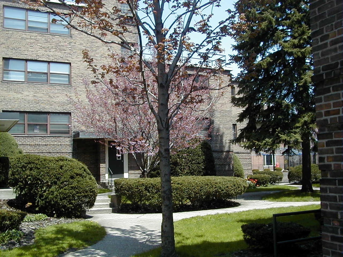 Patio - Delaware Court Apartments