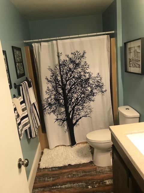 Large shower head and bath shower combo. Bathroom updates include new vanity, new toilet, new flooring and paint and fresh design. - 508 Crab Apple Ct