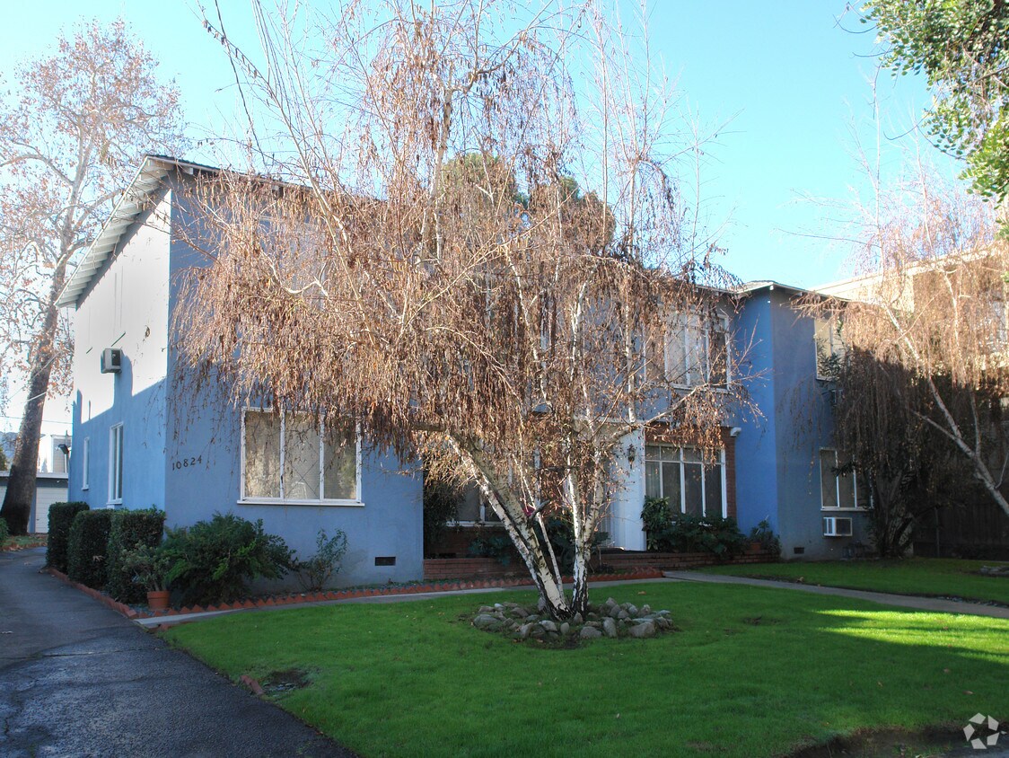 tree obstruction - 10824 Blix St