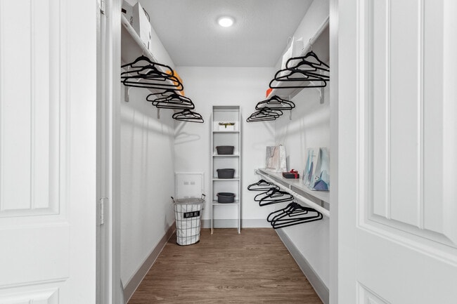 Interior Photo - Paloma