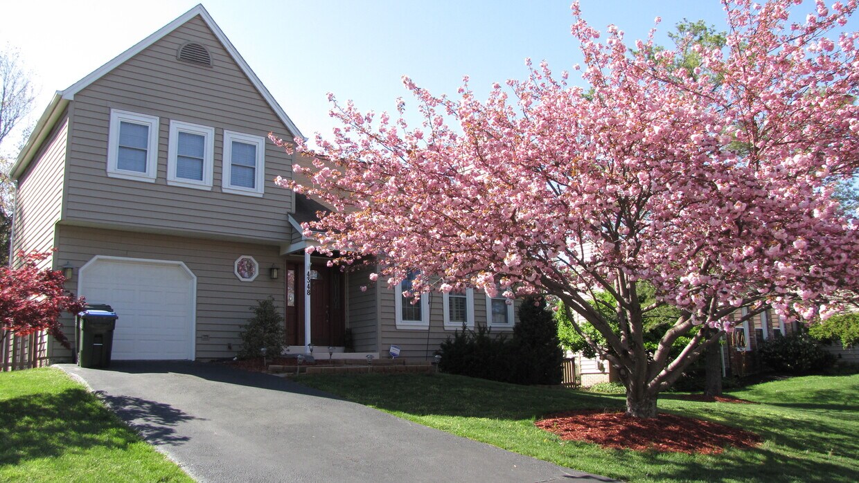 Front of home in spring - 4348 Silas Hutchinson Dr
