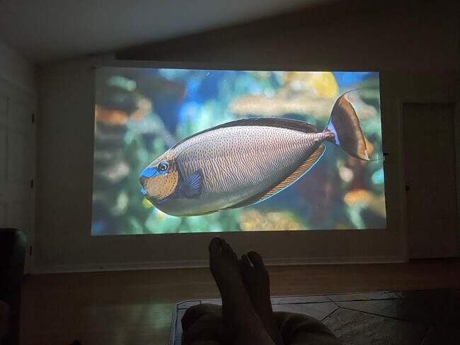 Crystal clear, stunning 12 ft. projector image takes up a large wall in Living Room - 6040 Ridge Lake Cir