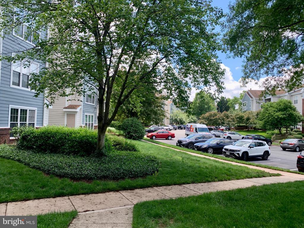 Primary Photo - 21033 Timber Ridge Terrace