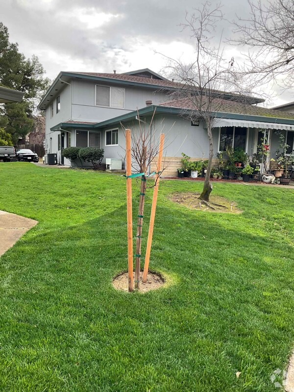 Folsom Road Apartments for Rent with Washer & Dryer Roseville, CA 1