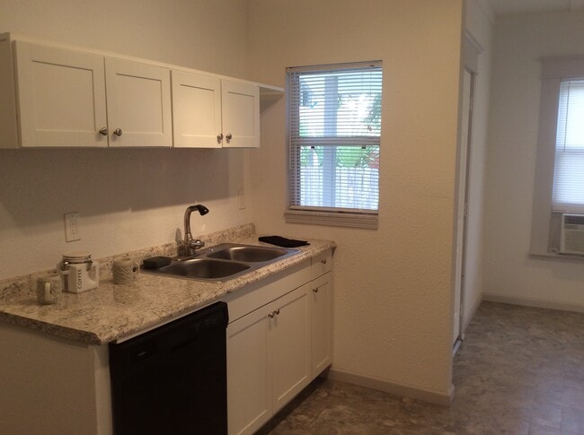 Dishwasher/Small Dinette/Other Area - 919 Phillips St