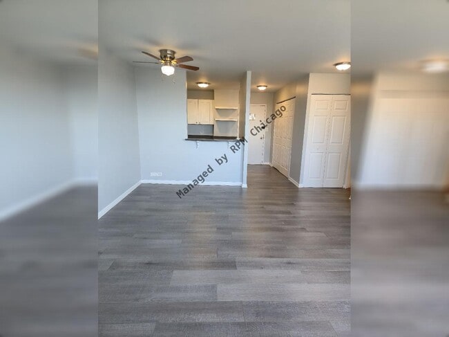 Foto del edificio - 1455 N Sandburg Terrace