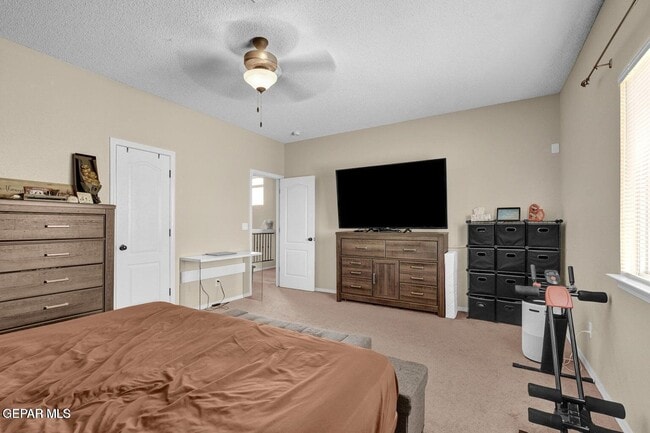 Building Photo - 12776 Raul Mendiola Ln