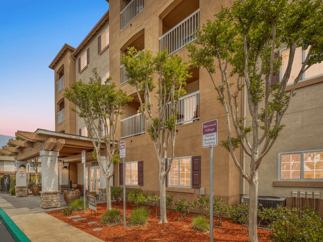 Foto del edificio - Hayward Village Senior Apartments