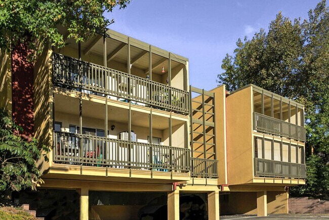 Interior Photo - 3131 Montrose Ave