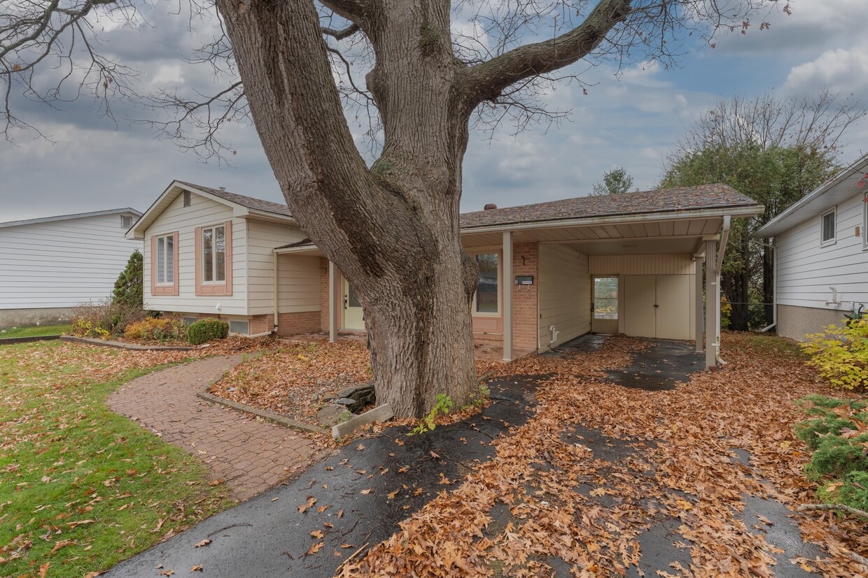 Primary Photo - 811 Overlea Ct