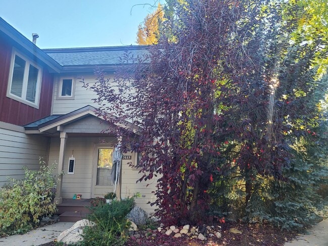 Building Photo - 3115 Mariah Ct