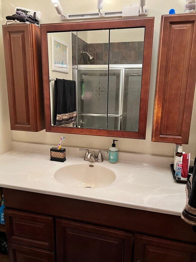 bathroom - 230 E Ontario St