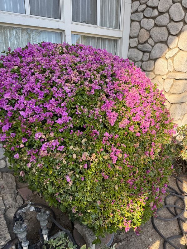 Foto del edificio - 17249 Flanders St