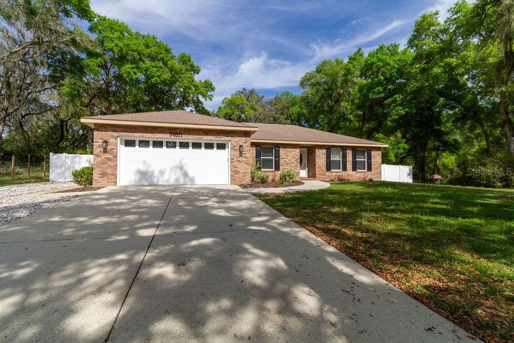 Primary Photo - 34671 Dogwood Dr